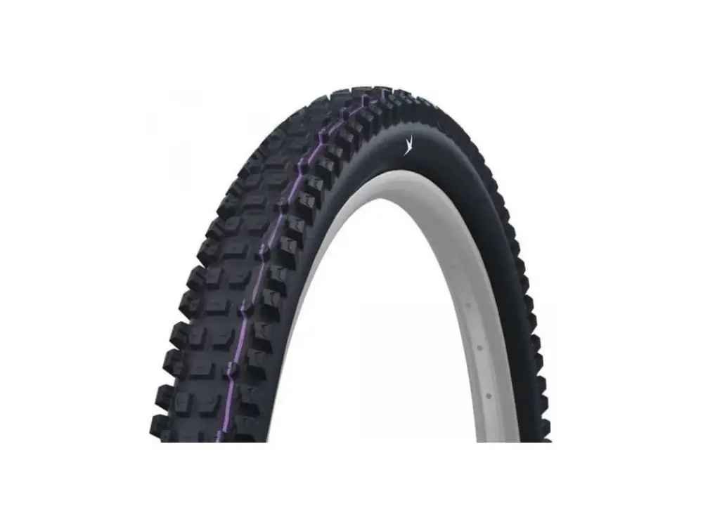 plášť Schwalbe Albert 29x2.50 GRAVITY PRO TLR UltraSoft Cenový Hit