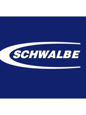 Cenově Výhodný Duše na kolo Schwalbe 28" SV20 60mm