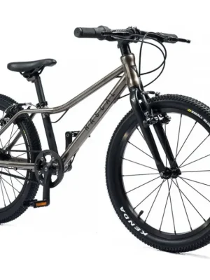 Dětské kolo Rascal 20 Titanium Aktuální