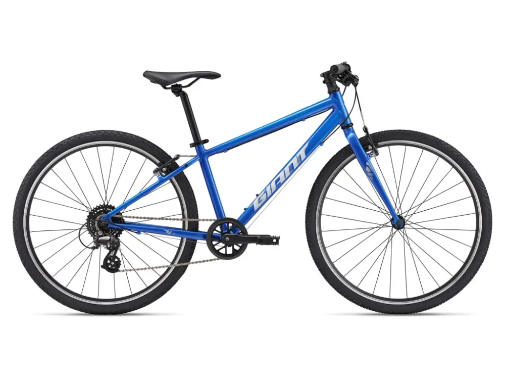 Tovární Cena GIANT ARX 26 Cobalt 2025