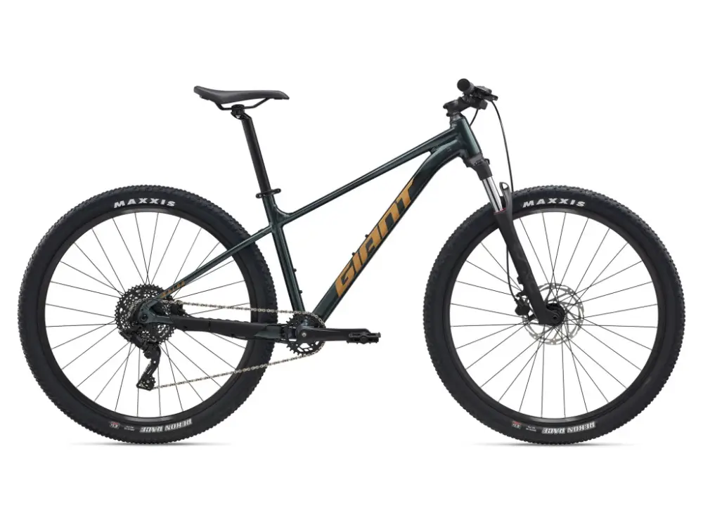 Cenový Hit Giant Talon 29 2 Asphalt Green 2025