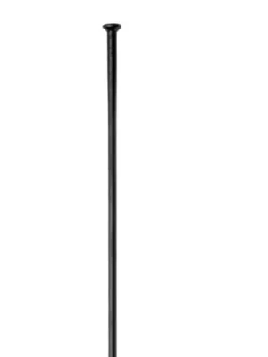Špice DT SWISS StraightPull Champion Black Jen Po Omezenou Doba