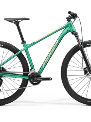 MERIDA Big. Nine 100 Matt Evergreen (Champagne) Top Prodej