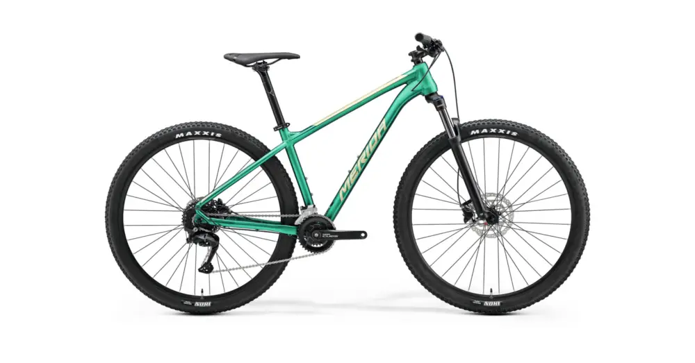 MERIDA Big. Nine 100 Matt Evergreen (Champagne) Top Prodej