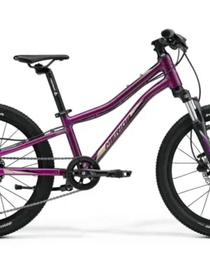 MERIDA Matts J.20 Purple (Black/Champagne) Značkový