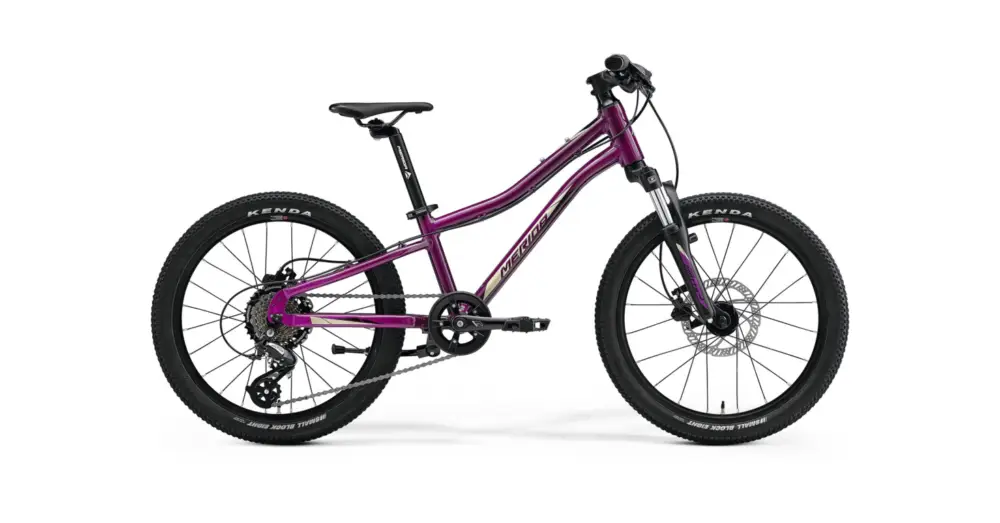 MERIDA Matts J.20 Purple (Black/Champagne) Značkový