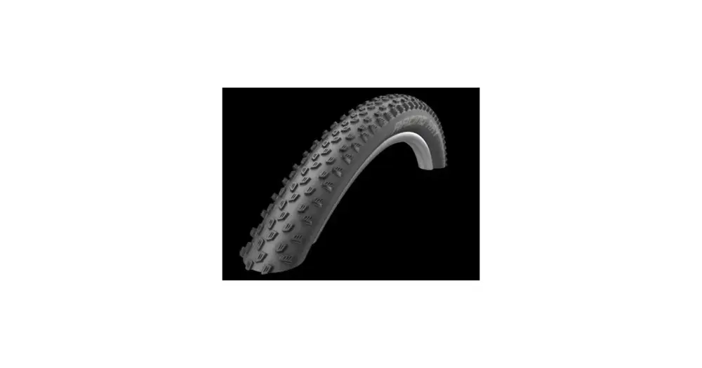 Speciální Cena Schwalbe plášť Racing Ray 29x2.25 Addix Performance TLR skládací