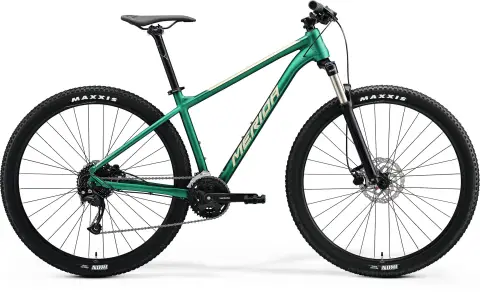 Jen Po Omezenou Doba MERIDA BIG.NINE 100 Matt Evergreen(Champagne) 2024