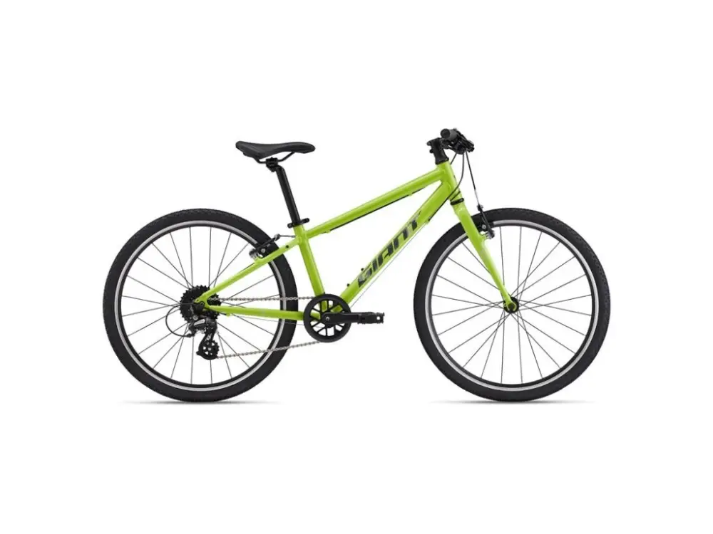 Rychlé Dodání GIANT ARX 24" 2025
