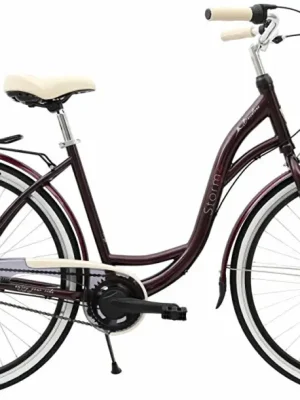 kolo STORM Barcelona 28" 3sp. 17" švestkové Akce