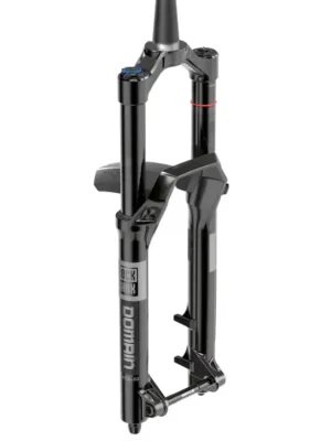 Objednat Nyní Vidlice Rock Shox Domain Gold RC 29 SB 180 BLK 44 C1