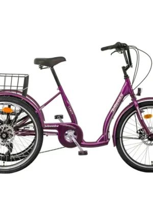 Must-Have Trojkolka LIBERTY COMFY 24" Disk- ocelový rám 6 rychlostí