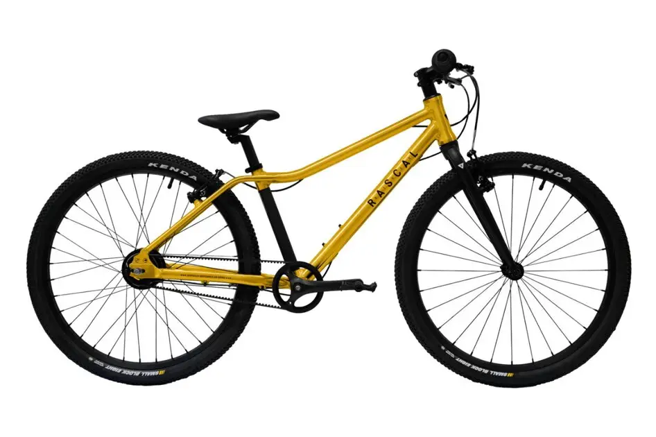 Levný Rascal 24 2025 Gold (zlatá) Nexus 7s řemen 9,4kg